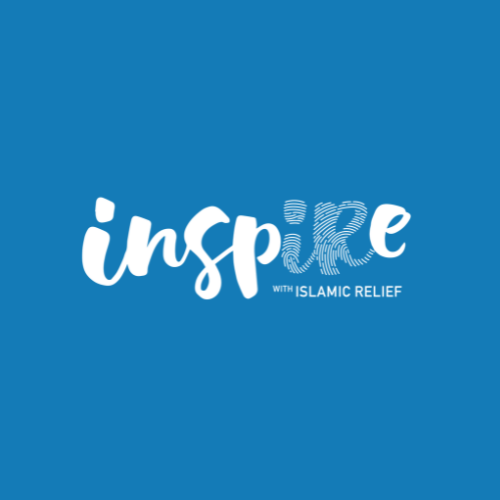 Inspire Internship