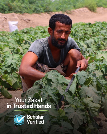 Zakat for Yemen